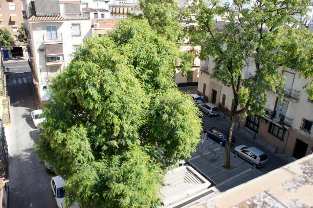Pension Perez Montilla Sevilla Buitenkant foto